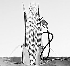 生物燃料將高速發展 生物燃料將高速發展