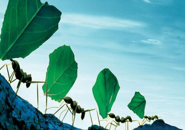 �����|(zh��)�����|(zh��)��